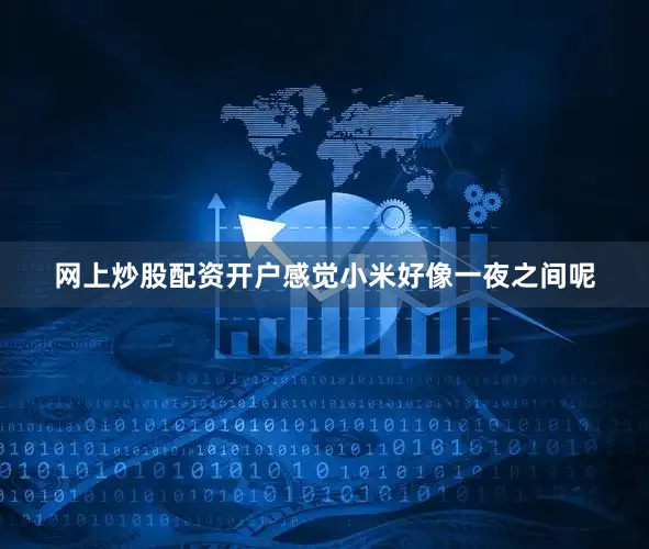 网上炒股配资开户感觉小米好像一夜之间呢