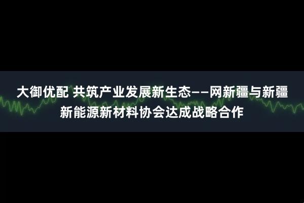 大御优配 共筑产业发展新生态——网新疆与新疆新能源新材料协会达成战略合作