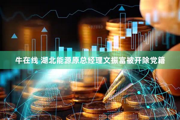 牛在线 湖北能源原总经理文振富被开除党籍
