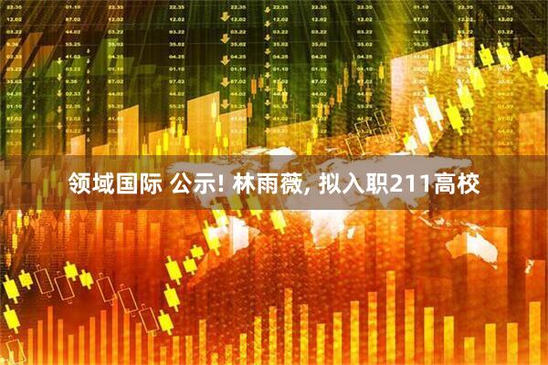 领域国际 公示! 林雨薇, 拟入职211高校